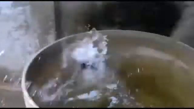Побег кота смотреть онлайн