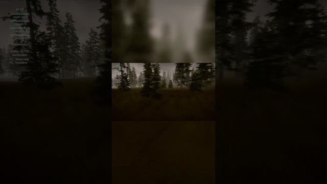 Дождливые дни в Pastor's Lake: The Game #earlyaccess #gaming #nature #asmr