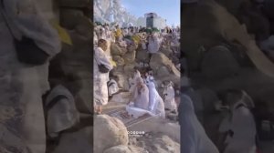 Арафат тоги. МашаАллох .