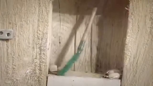 Интересное видео!!! смотреть онлайн