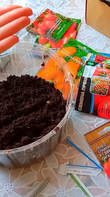 Как посеять перцы на рассаду?Февраль. смотреть онлайн