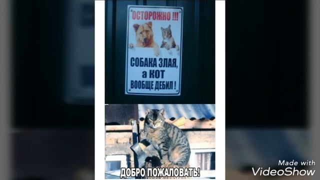 Смешные картинки из жизни 😂😂😂 смотреть онлайн