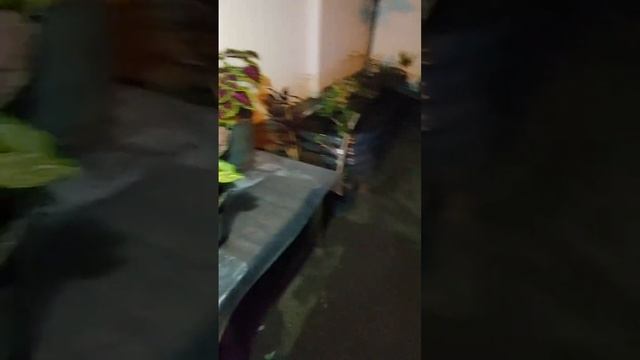 2024-02-08 [Th] 18-51 Новые грядки + смотреть онлайн