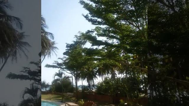 Отели Вьетнама. Отель Sunflower Resort в Муйне смотреть онлайн