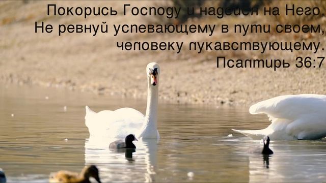 Надейся на Господа всем сердцем! смотреть онлайн