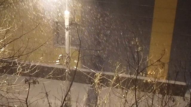 Москву засыпало снегом