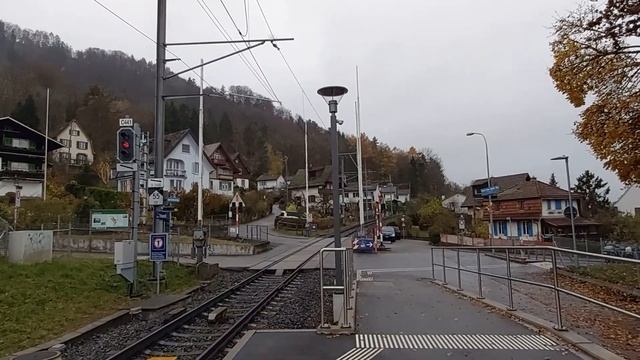 #43 Прогулка по Цюриху, ноябрь 2021.