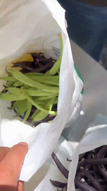 #ферма #село #сельскоехозяйство #спаржа #кабачки #огоро смотреть онлайн