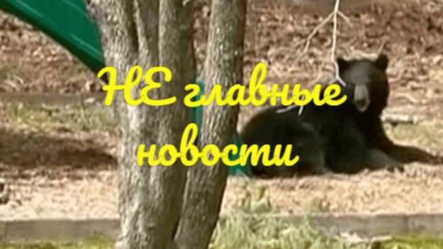 НЕ главные новости