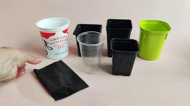 Пикировка перцев и баклажан: пошаговая инструкция и т? смотреть онлайн