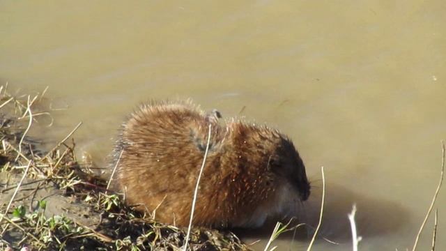 Семейный клуб 