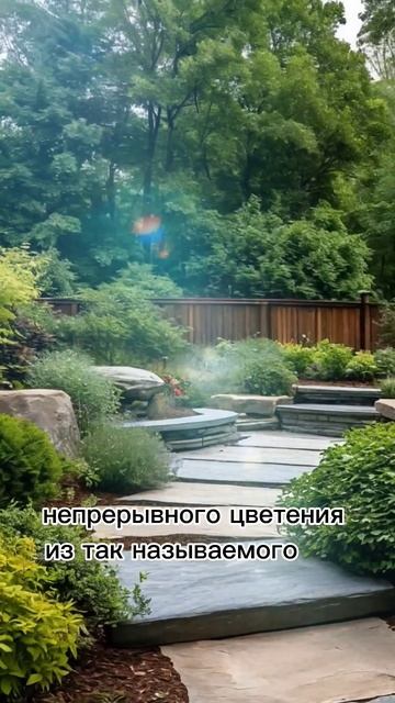 Ненужные растения ❓ #ландшафтныйдизайн #дача #сад #заг смотреть онлайн