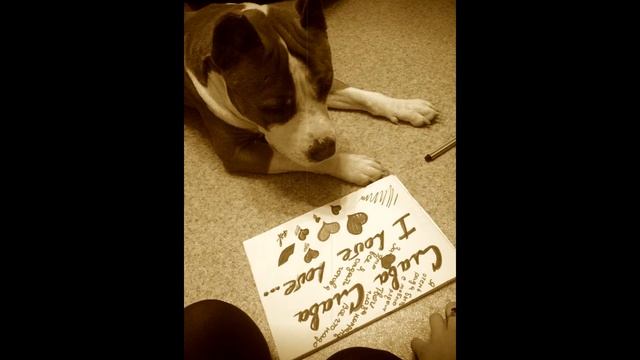 поздравления любимого с днем рождения