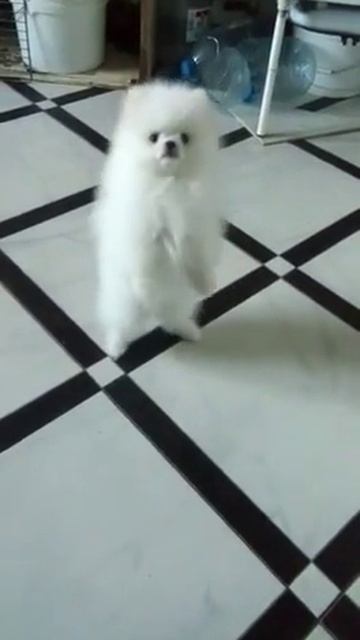 Венди учится танцевать смотреть онлайн