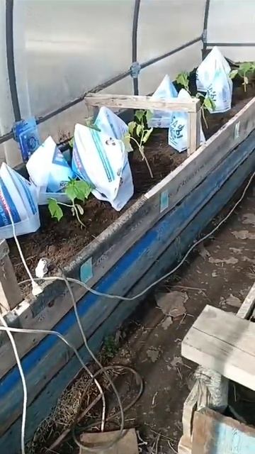 9 июля 2024 г. смотреть онлайн