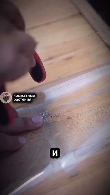 Крыша для теплицы из пластиковых бутылок #дача #декор # смотреть онлайн