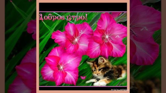 |🎀ДОБРОЕ УТРЕЧКО, МОИ ДОРОГИЕ 🌹| Желаю приятного денечка🌞| смотреть онлайн
