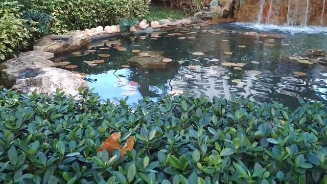 Уникален каменен водопад и езерце