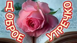 ПОТРЯСАЮЩЕ КРАСИВОЕ ДОБРОЕ УТРЕЧКО!