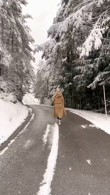 Мечты сбываются, главное в них верить❤️ #winter #slovenia смотреть онлайн