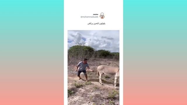 Я ржал до слёз. Лучшие приколы 2024 . ПОСТАРАЙСЯ НЕ ЗАСМЕЯТЬСЯ 😆 смотреть онлайн