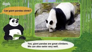 01can_Meet the Animals  Giant Panda