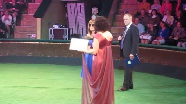 Фестиваль Восходящие звёзды с NSP 2014 смотреть онлайн