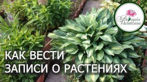 В ПОМОЩЬ ЦВЕТОВОДУ