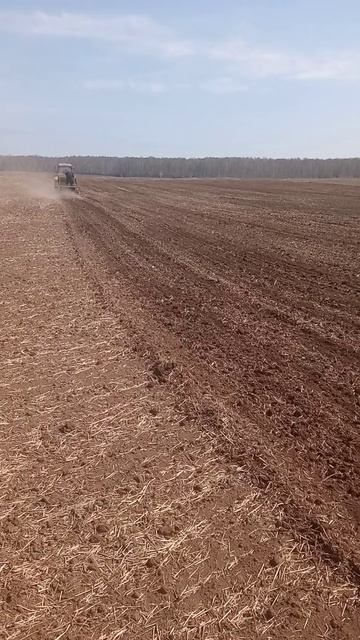 МТЗ -82 Посевная 2023, сеем яровую пшеницу. смотреть онлайн