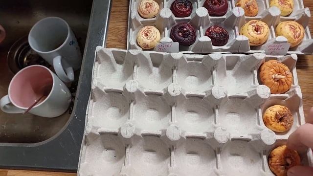 Мой опыт ВЫРАЩИВАНИЯ ГЛАДИОЛУСОВ В КАШПО смотреть онлайн