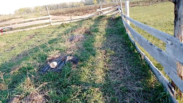 Вспахал огород и т. д. 🙂 смотреть онлайн