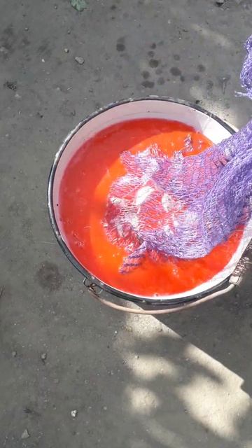 Замачивание чеснока перед посадкой смотреть онлайн