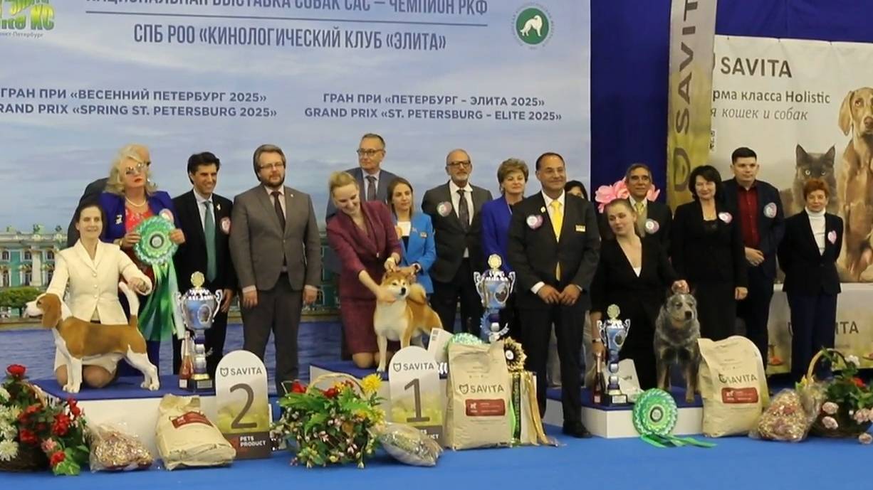 26.04.2025, СПб. Клуб "Элита" (РКФ, ОАНКОО). Рейтинговая выставка "ГРАН ПРИ ВЕСЕННИЙ ПЕТЕРБУРГ" смотреть онлайн