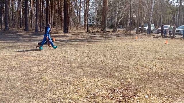 4.  выражено/перв АЛЛЕМО ХАУС У-РИЗ (Chiko v. Haus Boccia – Rimini Del Castello Fienga)