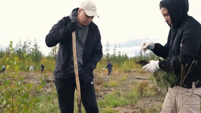Посадка леса в Республике Саха (Якутия) 07 сентября 2022 г смотреть онлайн