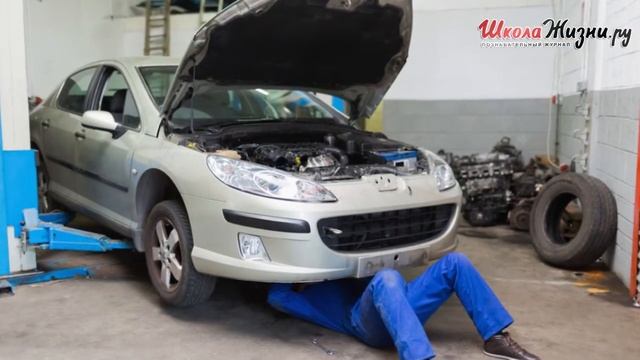 За Рулем: какие Курьезы Законодательства Подстерегают Водителя в Разных Странах? смотреть онлайн