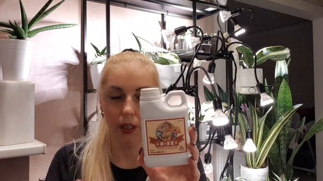 Удобрения, витамины, стимуляторы для сансевиерий. #sansev смотреть онлайн