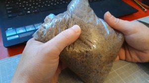 Липа из семян.