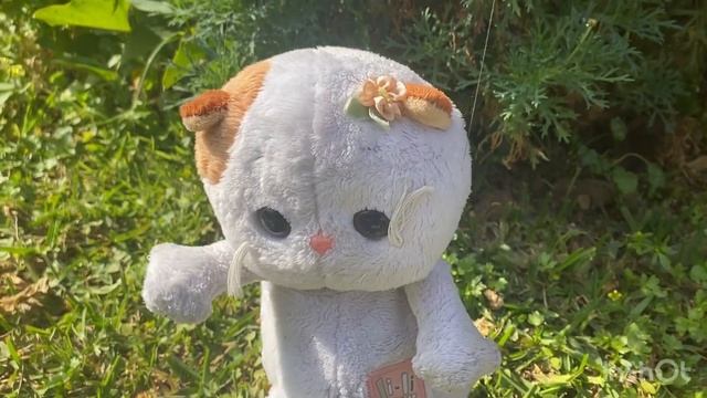 У Басика вырастают крылья