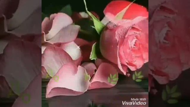 Для моих партнёров,коллег,друзей! Прекрасного дня и удачного продвижения по лестнице успеха! смотреть онлайн