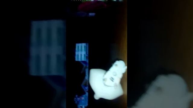 Кто лучше девочки и мальчики