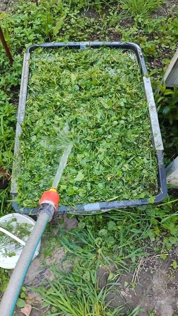 байка про удобрения смотреть онлайн