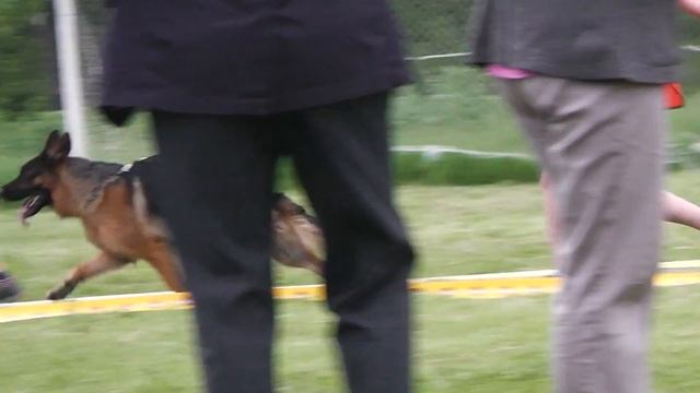 Рабочий класс. Кобели 2 (ДВ Кубок, 15.06.14, Владивосток) смотреть онлайн