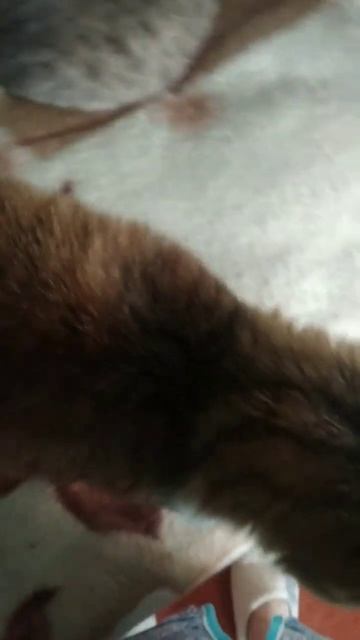 Хотелось заснять маму, но сына не даёт, в сию секунду х? смотреть онлайн