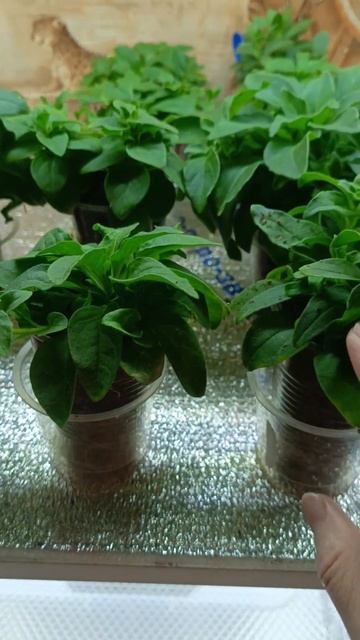 28 февраля 2025 г. смотреть онлайн