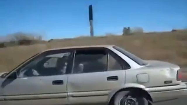 Приколы с животными и людьми. 2016. смотреть онлайн