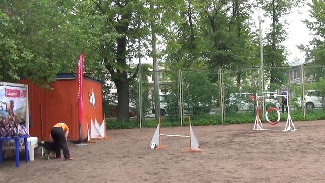 A3 Medium-1 Захарова Екатерина и шелти Фишка