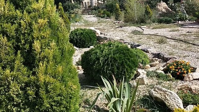 ЦВЕТУЩИЕ УГОЛКИ МОЕГО САДА И  НОВАЯ КЛУМБА