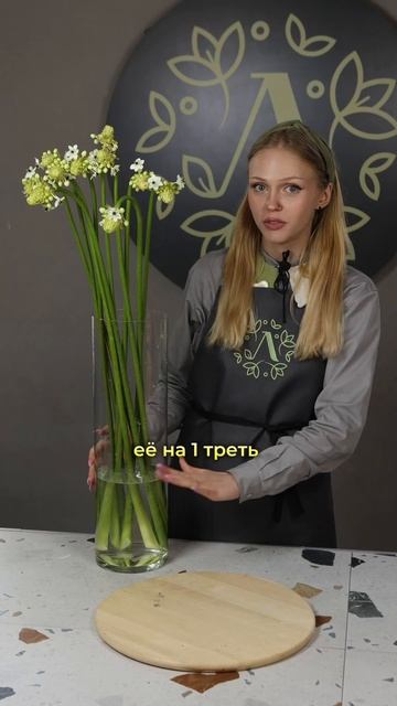 Уход за Вероникой и орнитогалумом 🌼 #цветы #флорист #ф смотреть онлайн