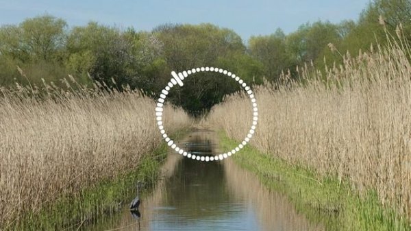 Абидат Шахбанова - Мой даргинец 2025